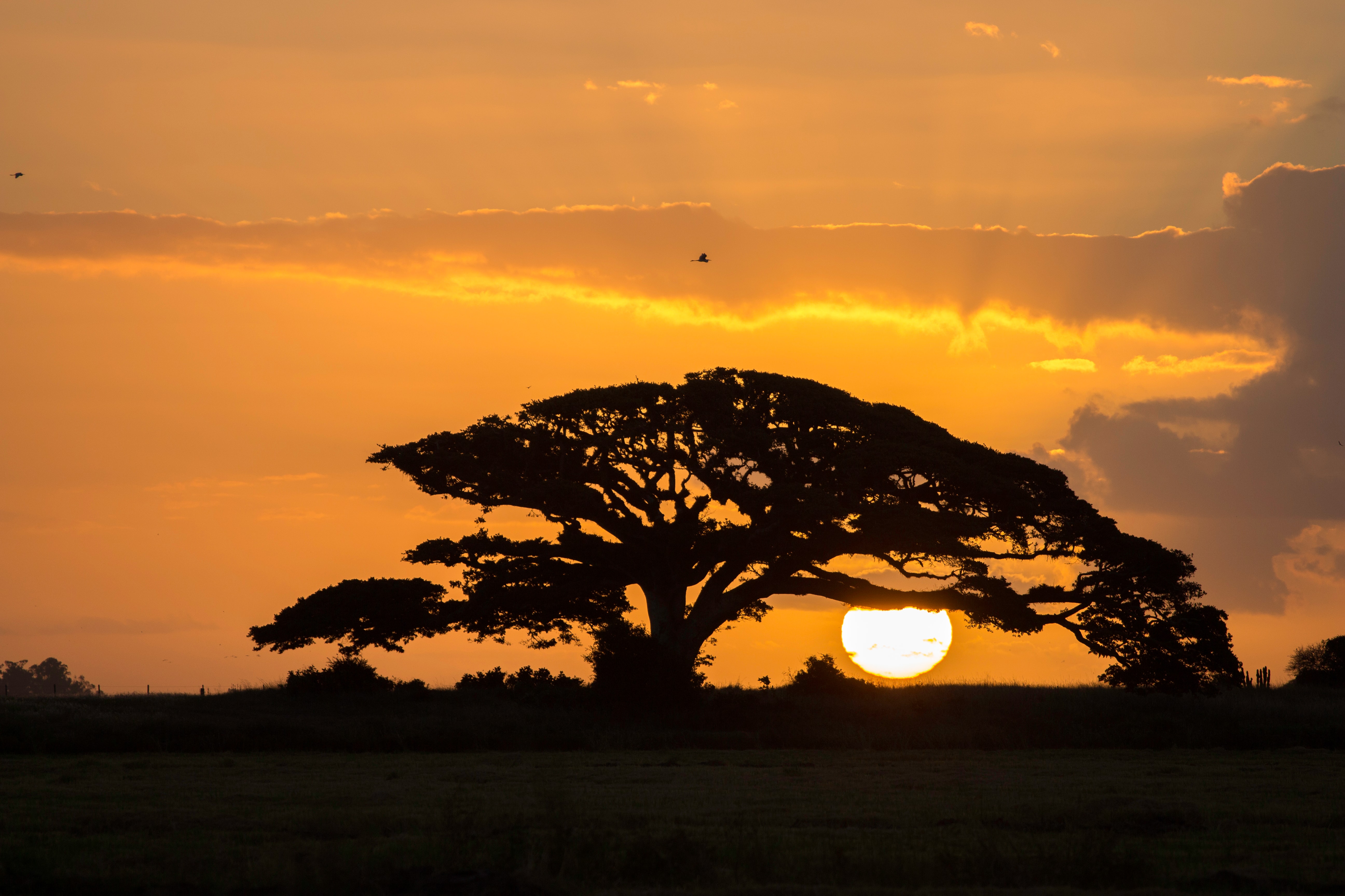 sun set